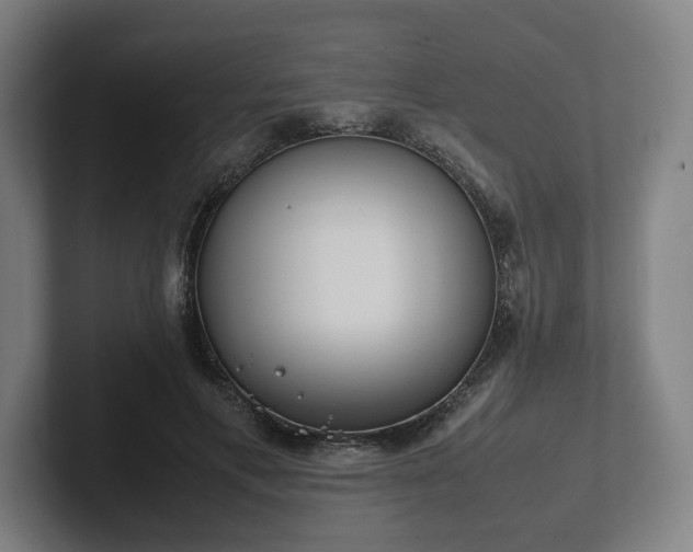 X0000101990597200807251227