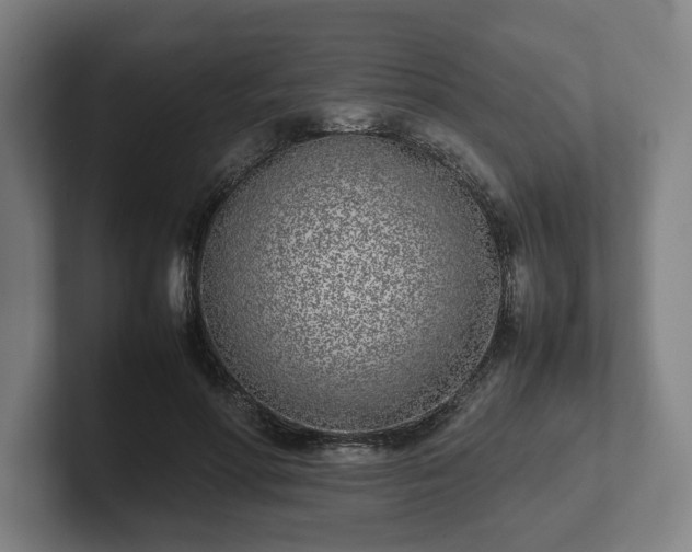 X0000101990598200807251227
