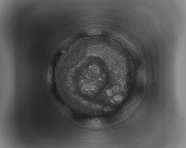X0000101990600200807251227