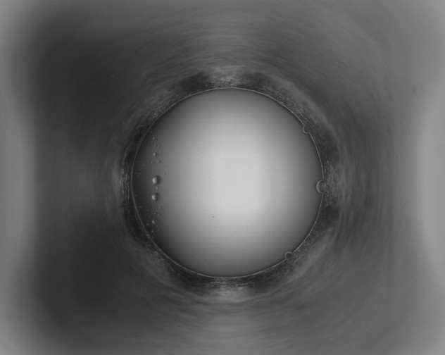 X0000101990601200807251227