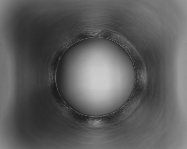 X0000101990602200807251227