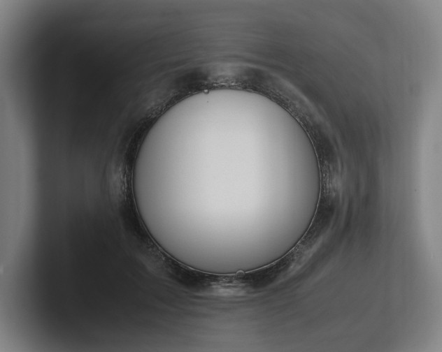 X0000101990603200807251227