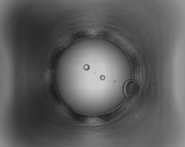 X0000101990605200807251227