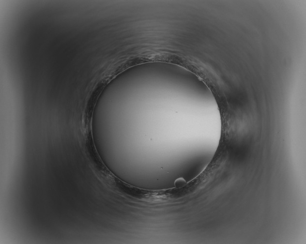 X0000101990607200807251227