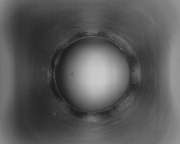 X0000101990608200807251227