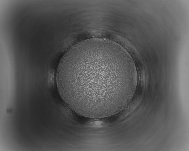 X0000101990610200807251227