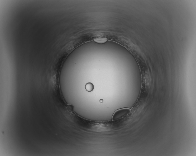 X0000101990611200807251227