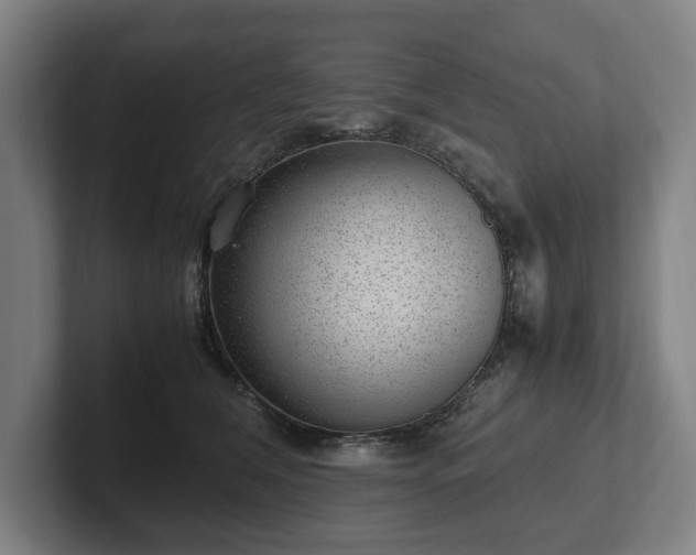 X0000101990612200807251227