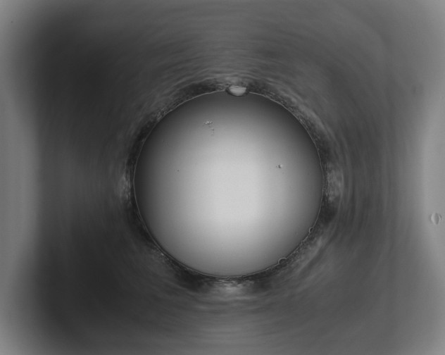 X0000101990613200807251227