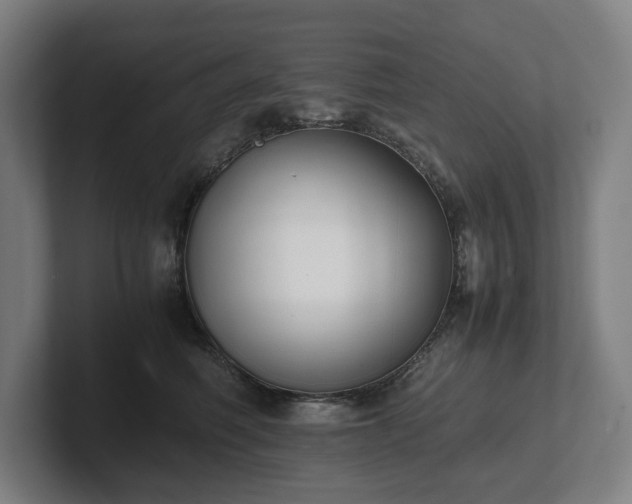 X0000101990614200807251227