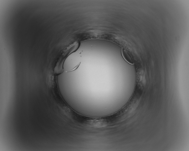 X0000101990615200807251227