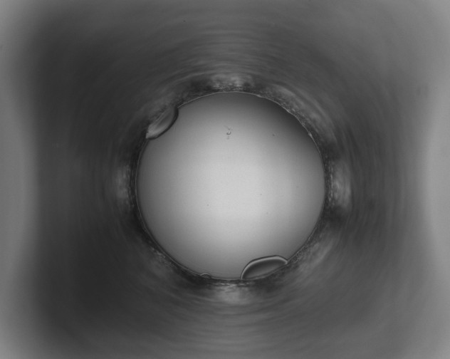 X0000101990616200807251227