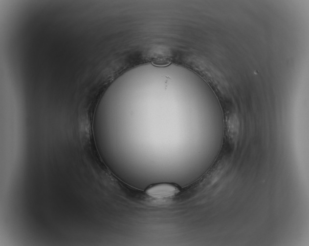 X0000101990617200807251227