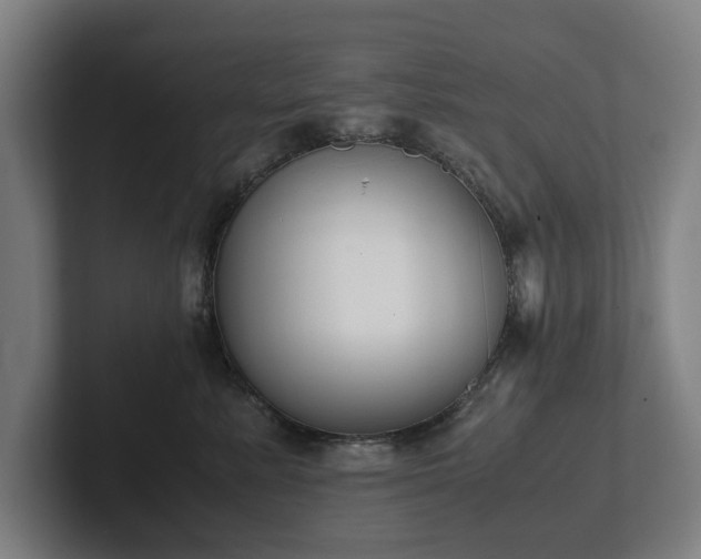 X0000101990619200807251227