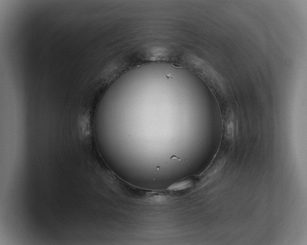 X0000101990620200807251227
