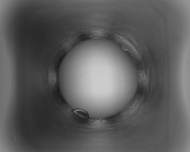 X0000101990621200807251227