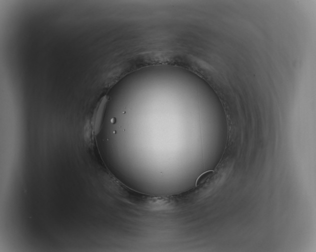 X0000101990624200807251227