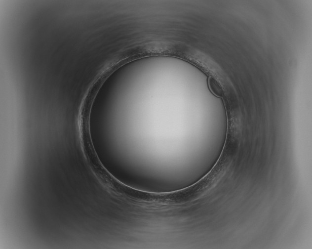 X0000101990626200807251226