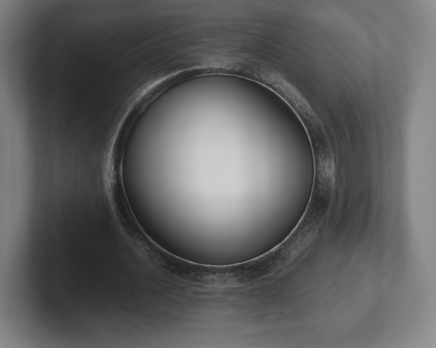X0000101990628200807251226