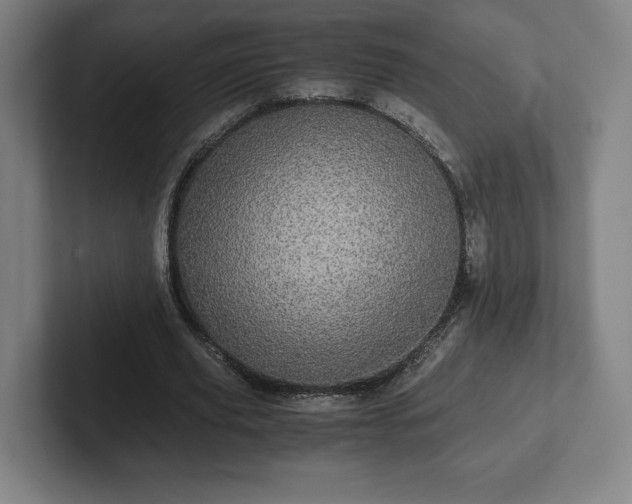 X0000101990629200807251226