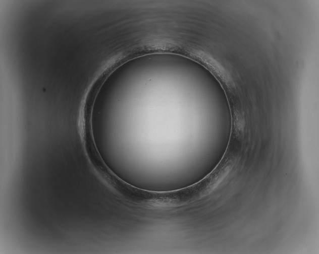 X0000101990630200807251226