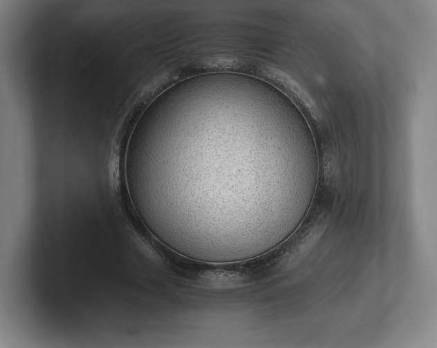 X0000101990633200807251226