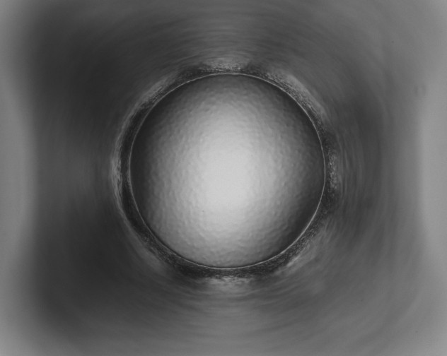X0000101990634200807251226