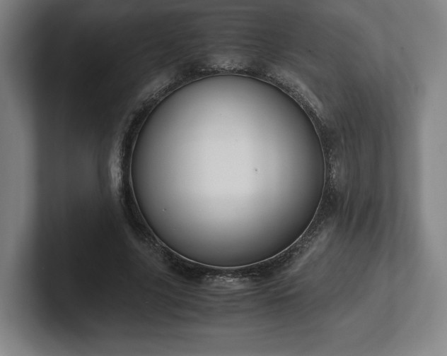 X0000101990635200807251226