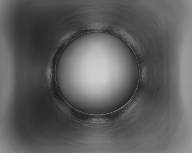X0000101990636200807251227