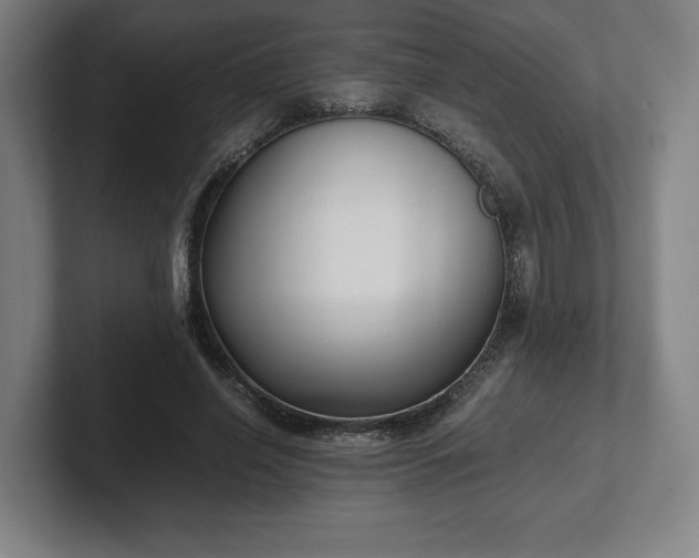 X0000101990638200807251227