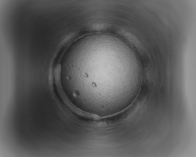 X0000101990640200807251227