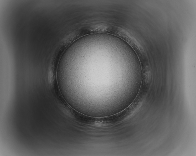 X0000101990641200807251227