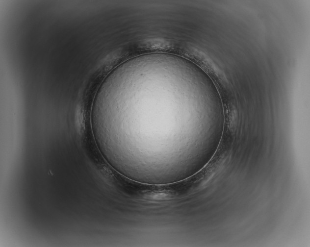 X0000101990643200807251227