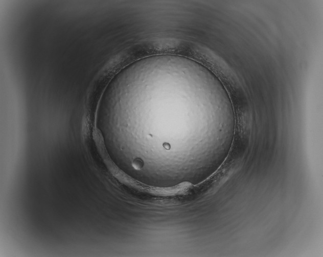 X0000101990644200807251227