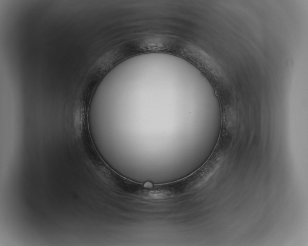 X0000101990645200807251227