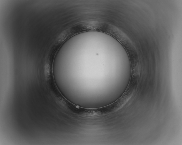 X0000101990646200807251227