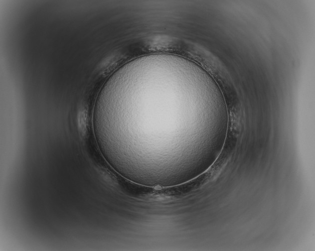 X0000101990648200807251227