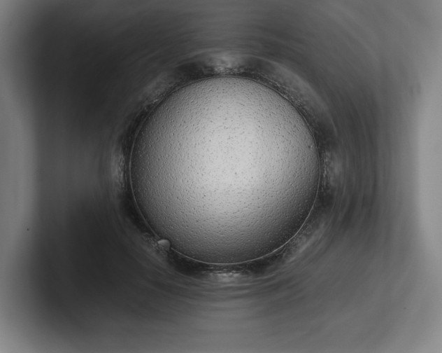 X0000101990650200807251227