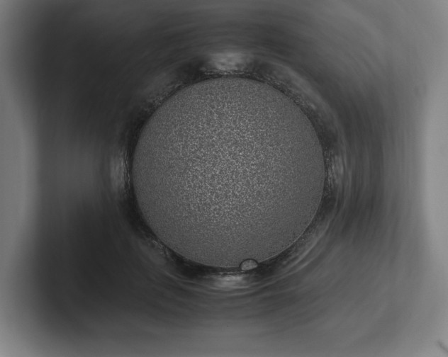X0000101990651200807251227