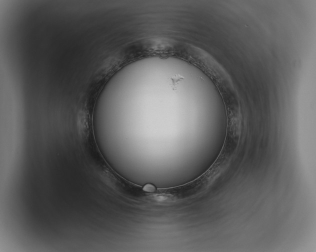 X0000101990654200807251227
