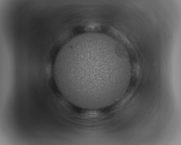 X0000101990659200807251227