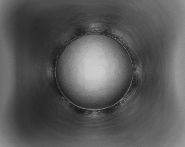 X0000101990663200807251227