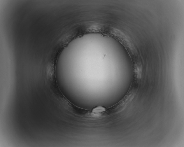 X0000101990665200807251227