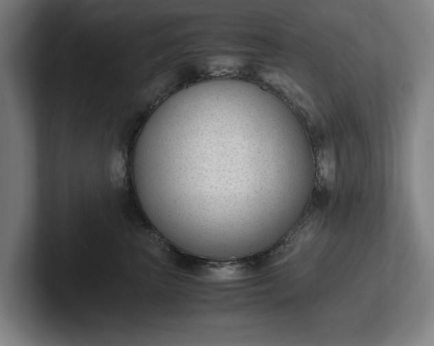 X0000101990667200807251227