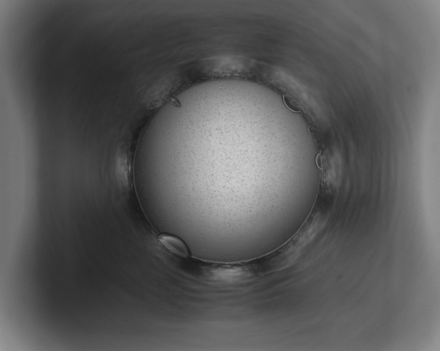 X0000101990669200807251227
