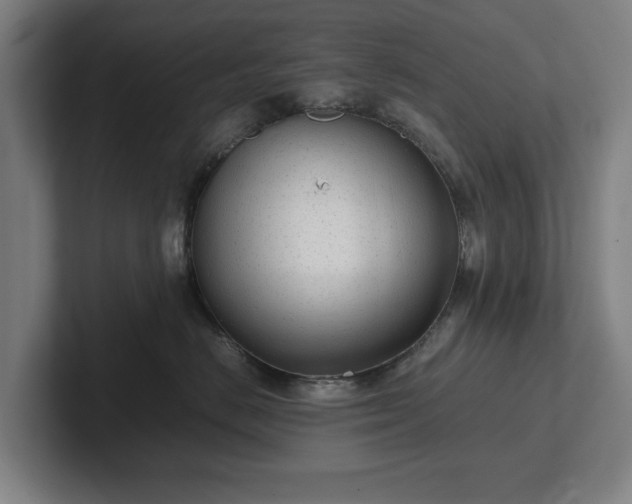 X0000101990670200807251227