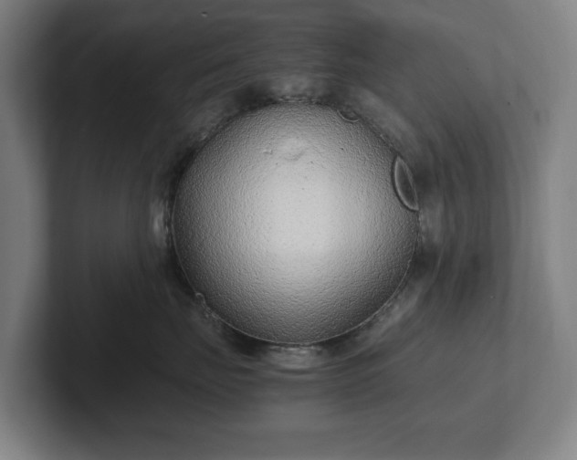 X0000101990671200807251227