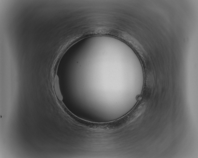 X0000101990673200807251226