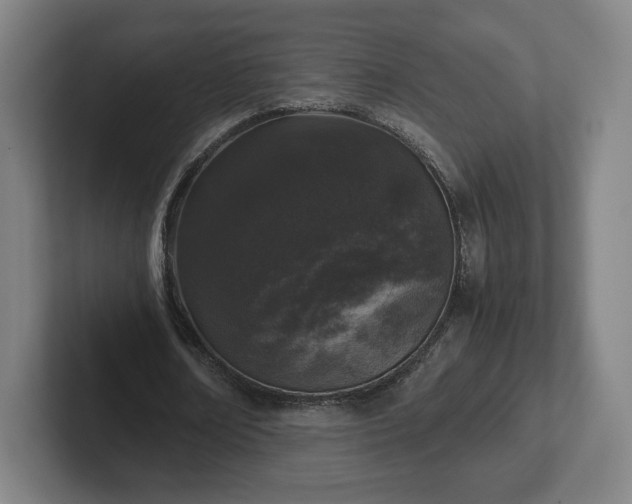 X0000101990674200807251226