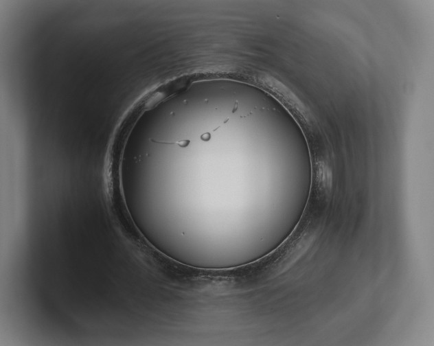 X0000101990676200807251226